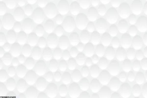 体育项目审计的内容及实施要点(图1)